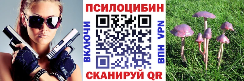 Псилоцибиновые грибы прущие грибы  наркошоп  Агрыз 